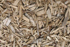 biomass boilers Llanwinio